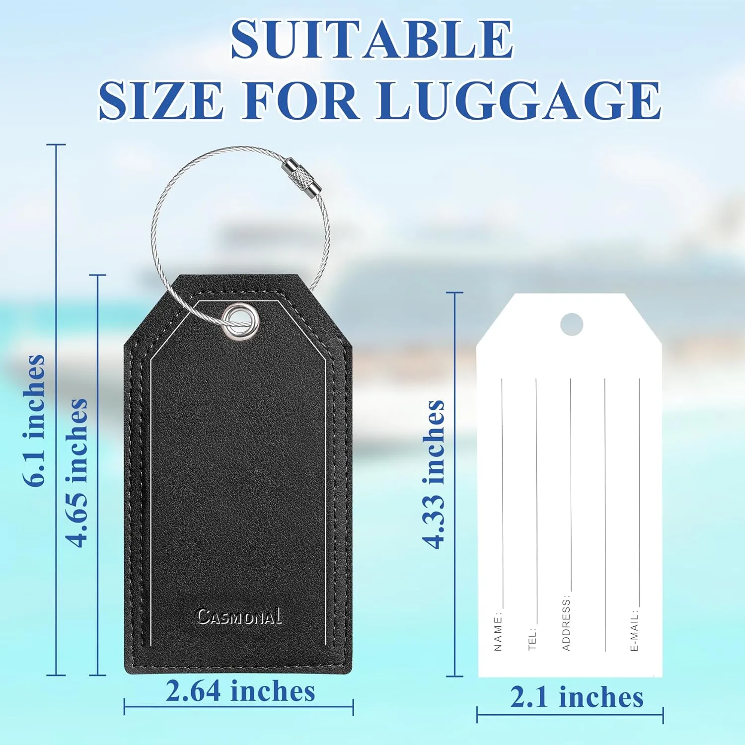 Casmonal Luggage Tags with Full Back Privacy Cover w/Steel Loops (Black 02 pcs Set)