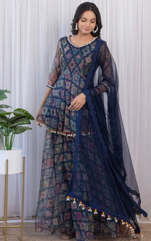 Navy Blue Printed Organza Sharara Set